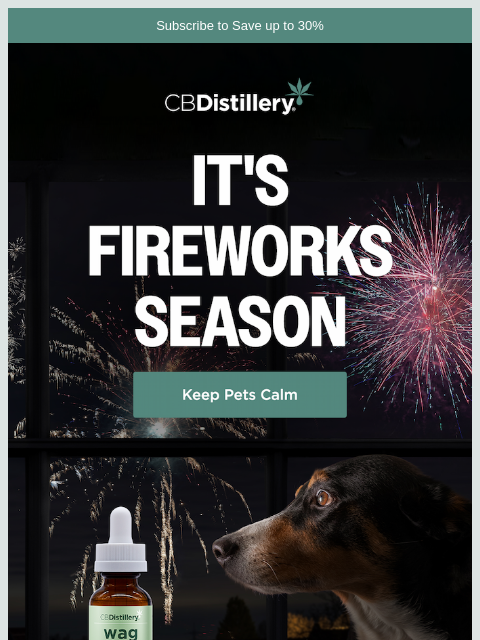 thecbdistillery newsletter: Fireworks Fears, Be Gone! 🎆