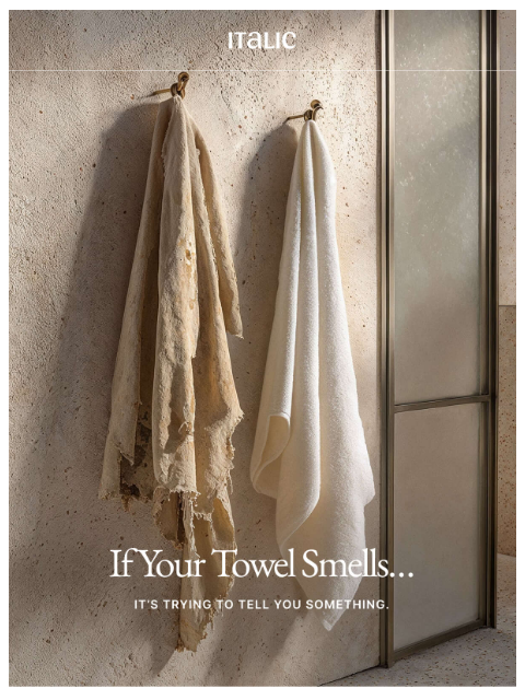 italic newsletter: Why your Towels Never Smell Fresh (and What to do ...