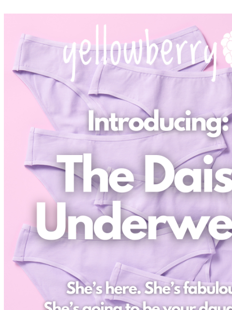 yellowberrycompany newsletter: Cotton Bikini Cut Underwear