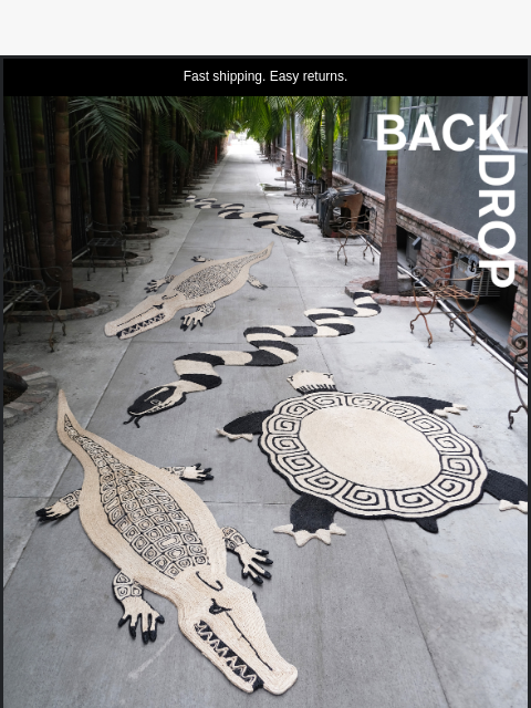 Fast shipping. Easy returns. RUGS RUGS ARE BACK IN STOCK! Crocodiles, snakes, snails, turtles, and more. We have them all. Our favorite rugs by Charlap Hyman & Herrero are back. CHH premium rugs