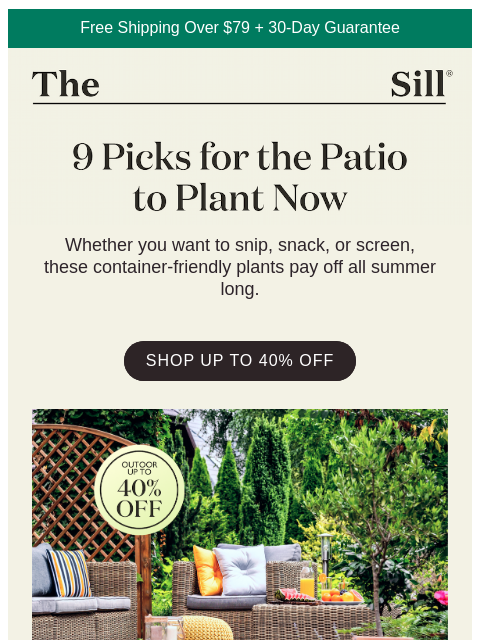 thesill newsletter: Plant NOW, Enjoy All Summer