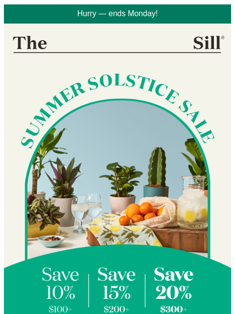 thesill newsletter: This Weekend: Up to 20% off everything!