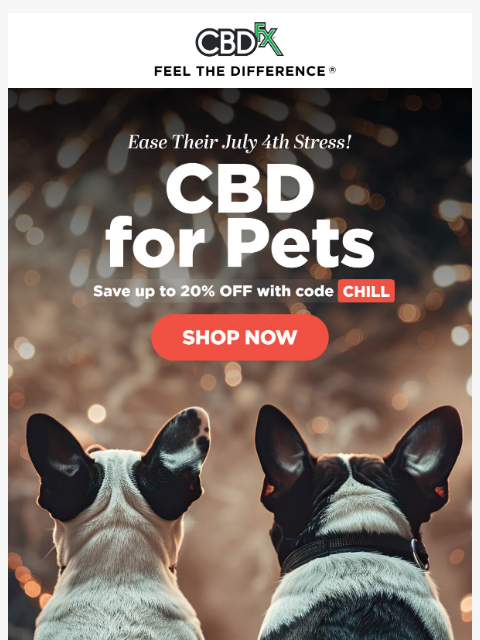 cbdfx newsletter: Don't let July 4th fireworks stress your pet! 🐶🎆...