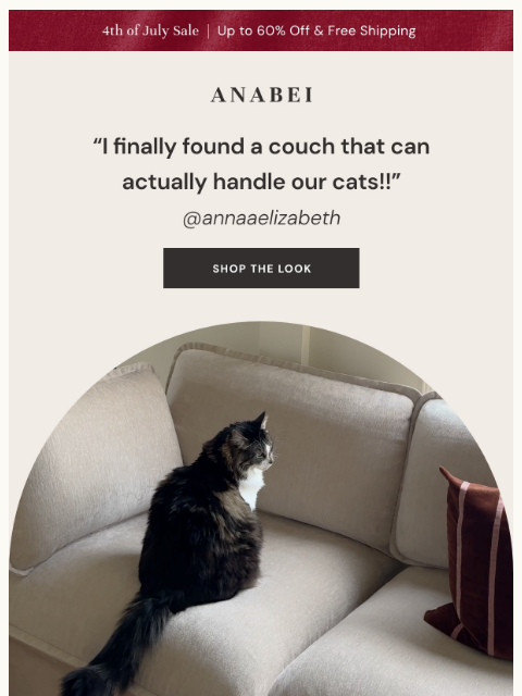 anabei newsletter: "Finally, a couch that can handle our cats!"