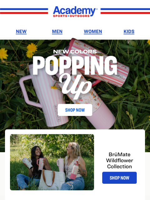 academy newsletter: NEW BrüMate Wildflower Collection