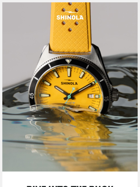 shinola newsletter: Dive Into the Duck