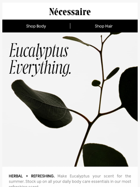 necessaire newsletter: Eucalyptus Everything