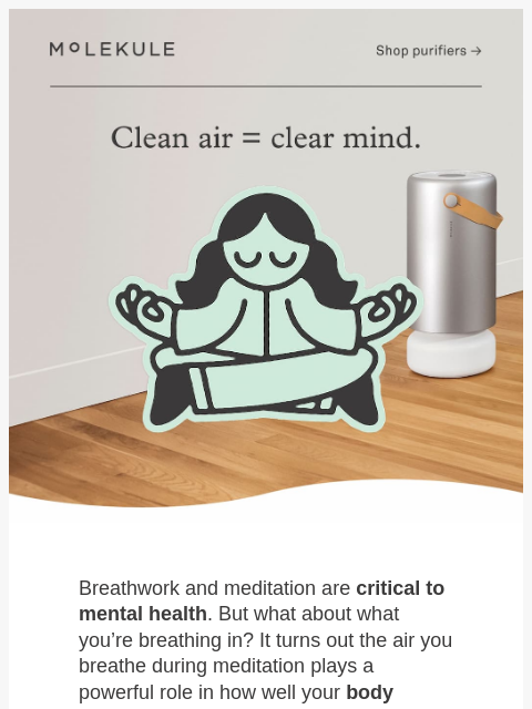 molekule newsletter: Meditation & Breathwork Start with Air Health 😌