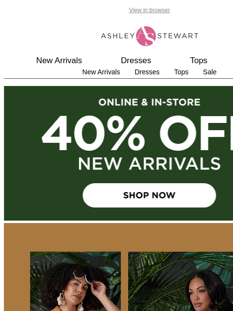 ashleystewart newsletter: It's all NEW! 🤩