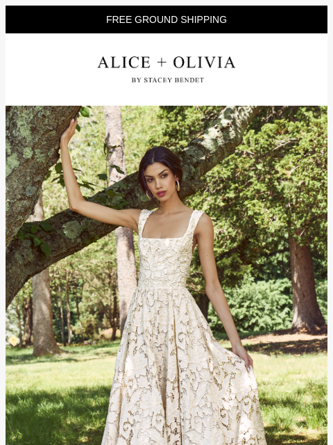 aliceandolivia newsletter: Pretty Little Details 💕