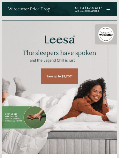 leesasleep newsletter: Chill out and sleep in with this Wirecutter fav