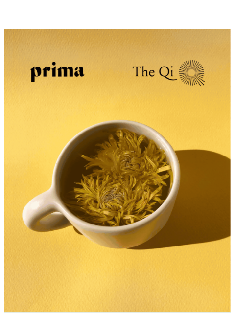 Prima x The Qi, dropping now. ͏ ͏ ͏ ͏ ͏ ͏ ͏ ͏ ͏ ͏ ͏ ͏ ͏ ͏ ͏ ͏ ͏ ͏ ͏ ͏ ͏ ͏ ͏ ͏ ͏ ͏ ͏ ͏ ͏ ͏ ͏ ͏ ͏ ͏ ͏ ͏ ͏ ͏ ͏ ͏ ͏ ͏ ͏ ͏ ͏ ͏ ͏ ͏ ͏ ͏ ͏ ͏ ͏ ͏ ͏ ͏ ͏ ͏ ͏ ͏ ͏ ͏ ͏ ͏ ͏ ͏ ͏ ͏ ͏ ͏ ͏ ͏ ͏ ͏ ͏ ͏ ͏ ͏ ͏ ͏ ͏ ͏ ͏ ͏ ͏ ͏