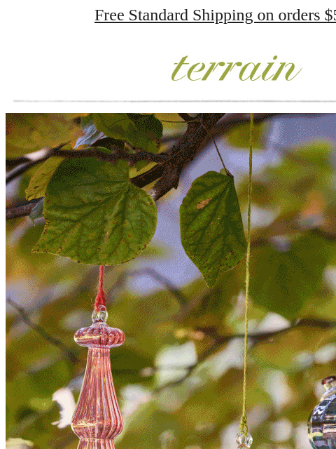 shopterrain newsletter: BIRD WATCH: Houses, baths, feeders + more