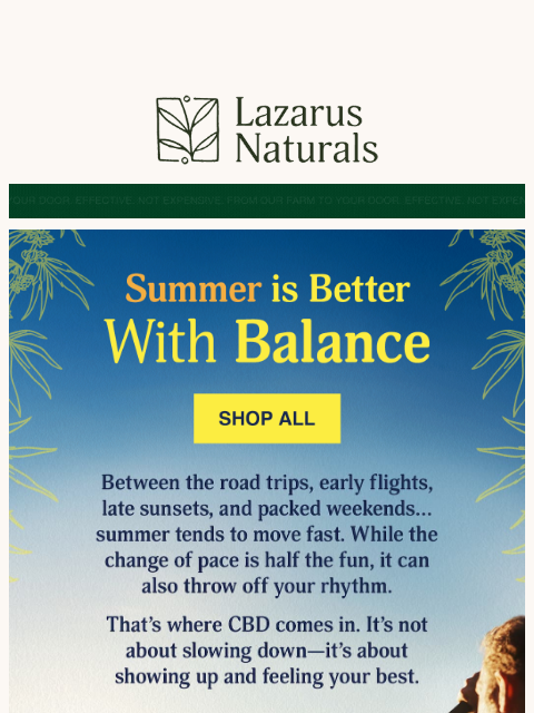 lazarusnaturals newsletter: 🚗On the Road or in the Sky—CBD Travel Tips Ahead
