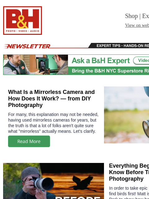 bhphotovideo newsletter: What Is a Mirrorless Camera?, Finding Birds to Pho...