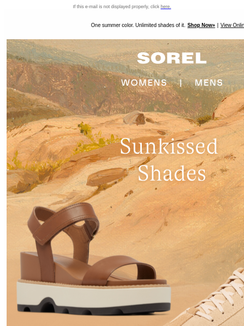 sorel newsletter: Warm Tonal Browns