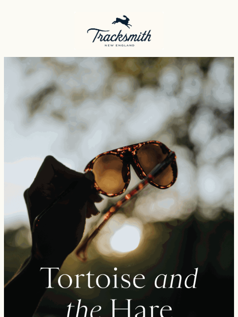 tracksmith newsletter: New tortoise colorways in our best-selling sunglas...