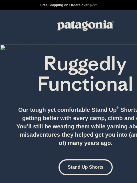 patagonia newsletter: Meet the four-wheel drive of shorts