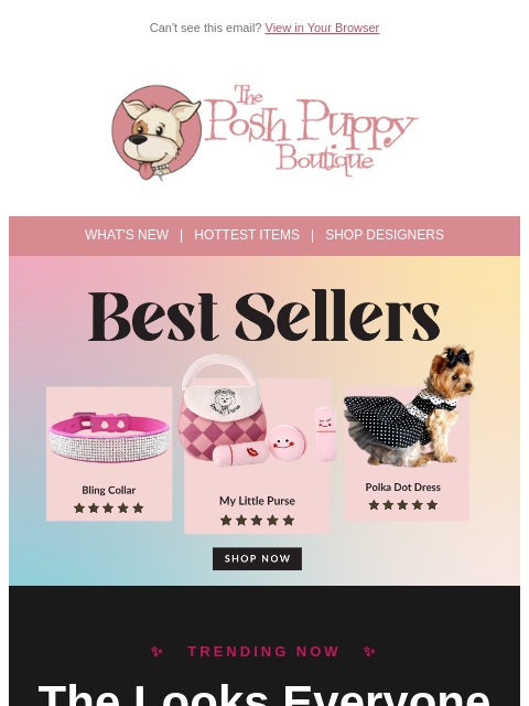 poshpuppyboutique newsletter: The Internet Is Obsessed — And So Are We 🐾✨
