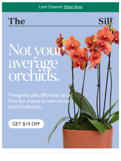 thesill newsletter: Did you use your $10 off?