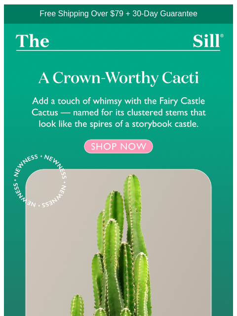 thesill newsletter: Back In Stock! Hint: 🏰🌵