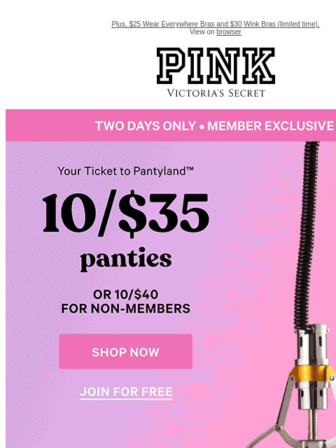 vspink newsletter: 10/$35 Panties: For Members Only