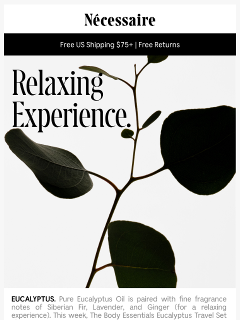 necessaire newsletter: Travel Set On Us.
