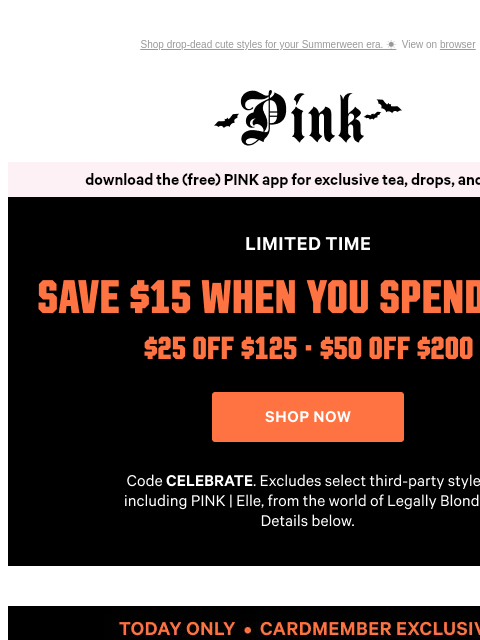 vspink newsletter: So Good It’s Scary: 10/$40 Panties 🦇