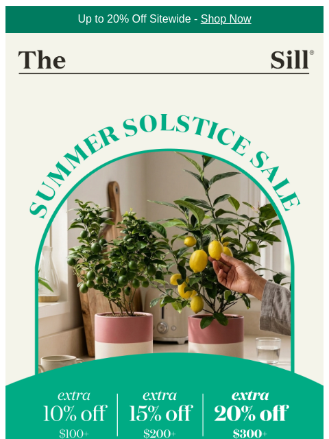 thesill newsletter: PLANT SALEEEEEEEEEE
