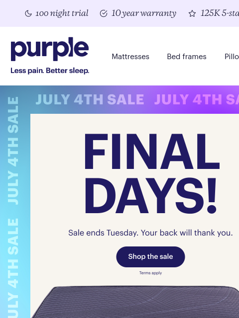 purple newsletter: FINAL DAYS (still sorry for yelling)