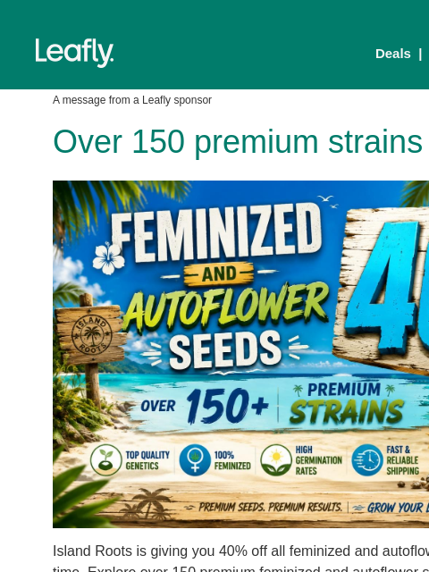 leafly newsletter: Over 150 fem & auto seeds 40% off 💥