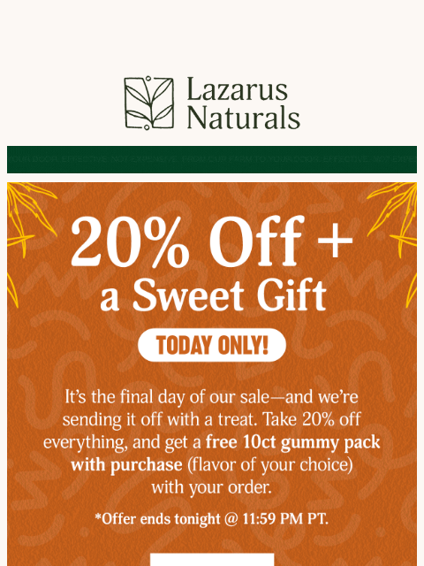 lazarusnaturals newsletter: 🇺🇸 Sale Ends in Hours – Save Up to 20% Now
