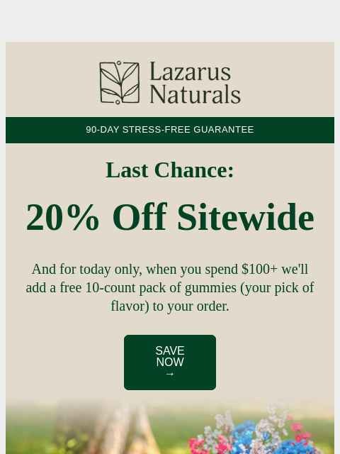 lazarusnaturals newsletter: ⏳Final Call: 20% Off + 1 Last Bonus Offer