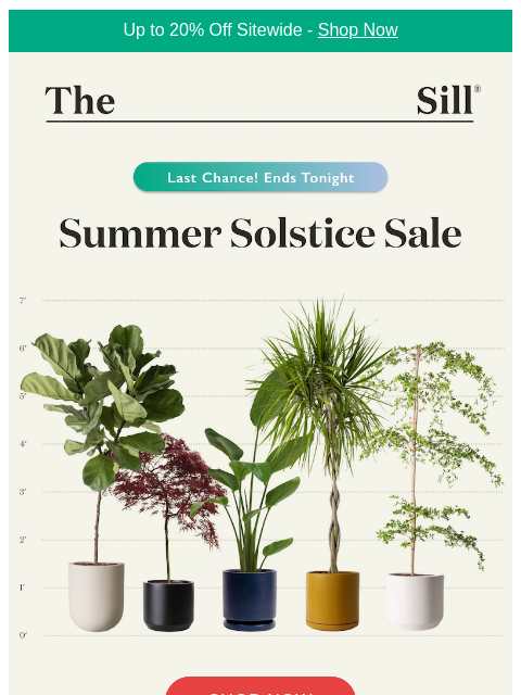 thesill newsletter: 📣 Ends tonight – last sitewide sale of summer