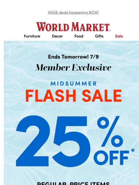 emailworldmarket newsletter: ‼️FLASH SALE 25% OFF‼️