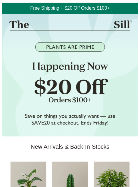 thesill newsletter: This Week Only! $20 Off