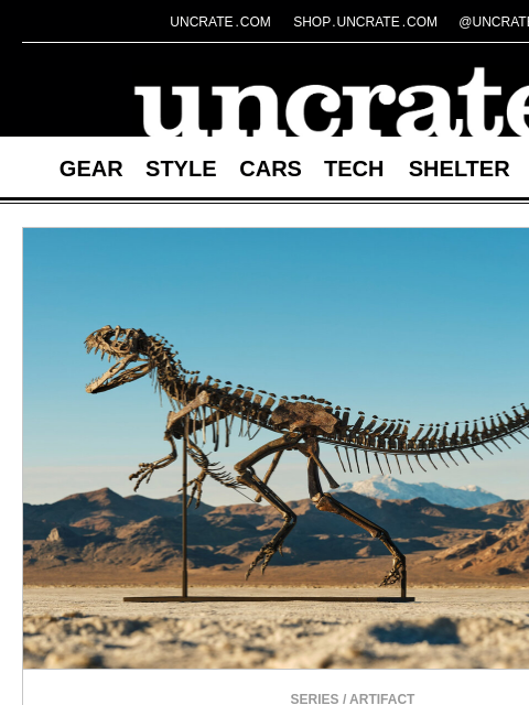 uncrate newsletter: Juvenile Ceratosaurus Skeleton & more