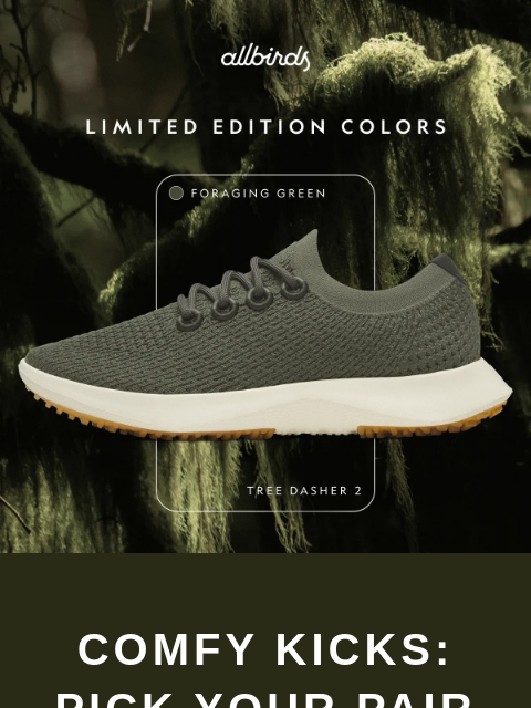 allbirds newsletter: Pick Your Perfect Summer Sneaks