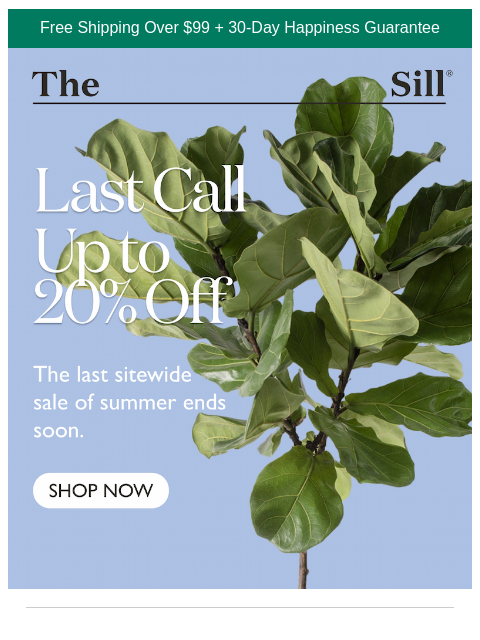 thesill newsletter: Last call