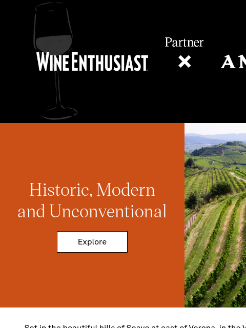 wineenthusiast newsletter: Why Anselmi Belongs on Your Radar