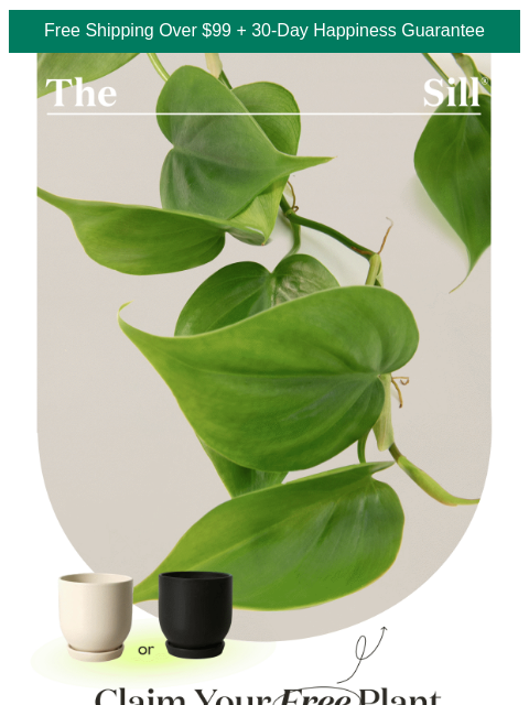 thesill newsletter: Our love language? Free plants.