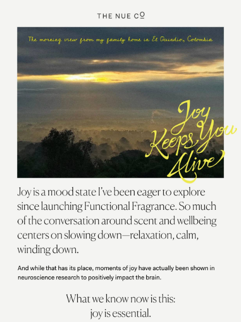 thenueco newsletter: The story behind Good Spirits.