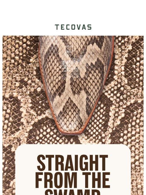 tecovas newsletter: LIMITED EDITION INVASIVE PYTHON