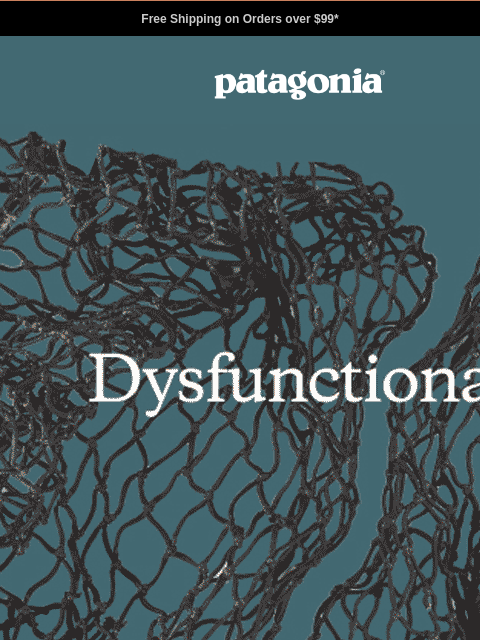 patagonia newsletter: From dysfunctional to multifunctional