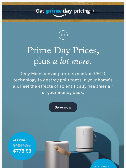 molekule newsletter: 📦 Prime Pricing has arrived 📦