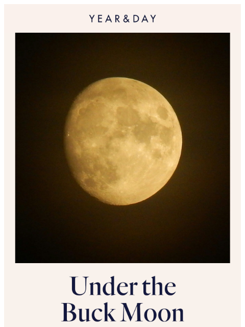 yearandday newsletter: The Buck Moon rises