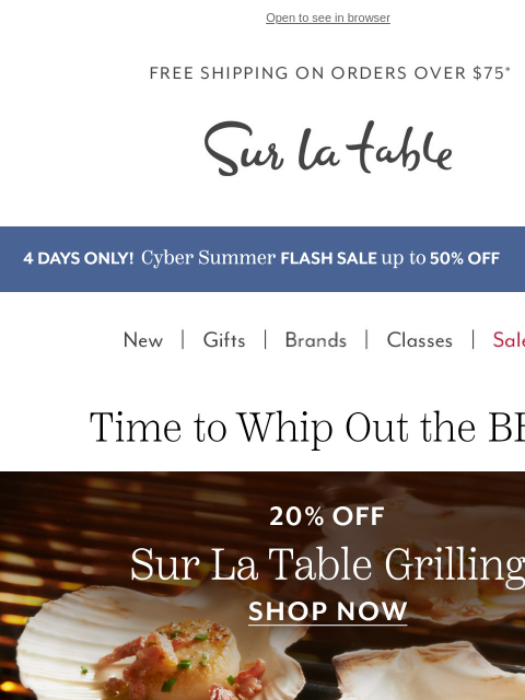 surlatable newsletter: Flip, Sear, Repeat—You Were Born to BBQ 🍖