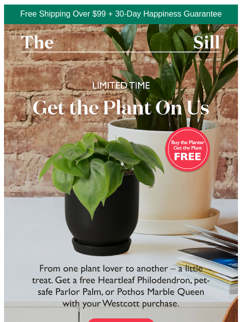 thesill newsletter: Claim your free plant →