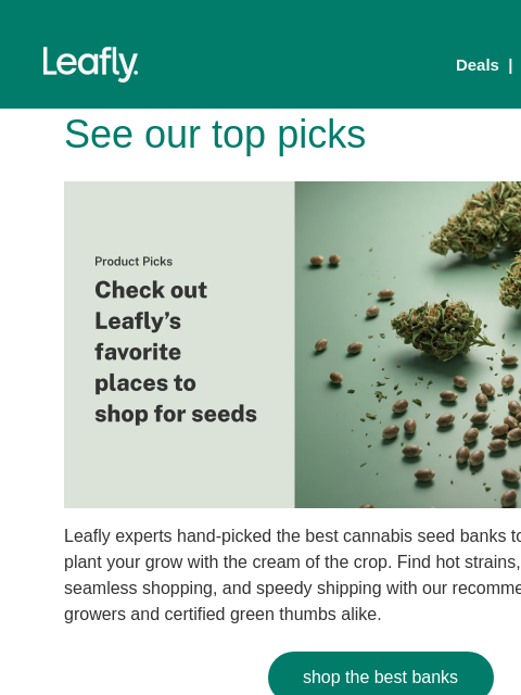 leafly newsletter: 🏆 Leafly’s top seed banks