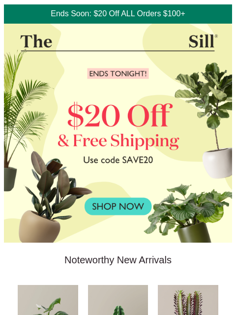 thesill newsletter: ENDS TONIGHT! $20 Off + Free Ship